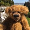 Charlie Bear by the sea