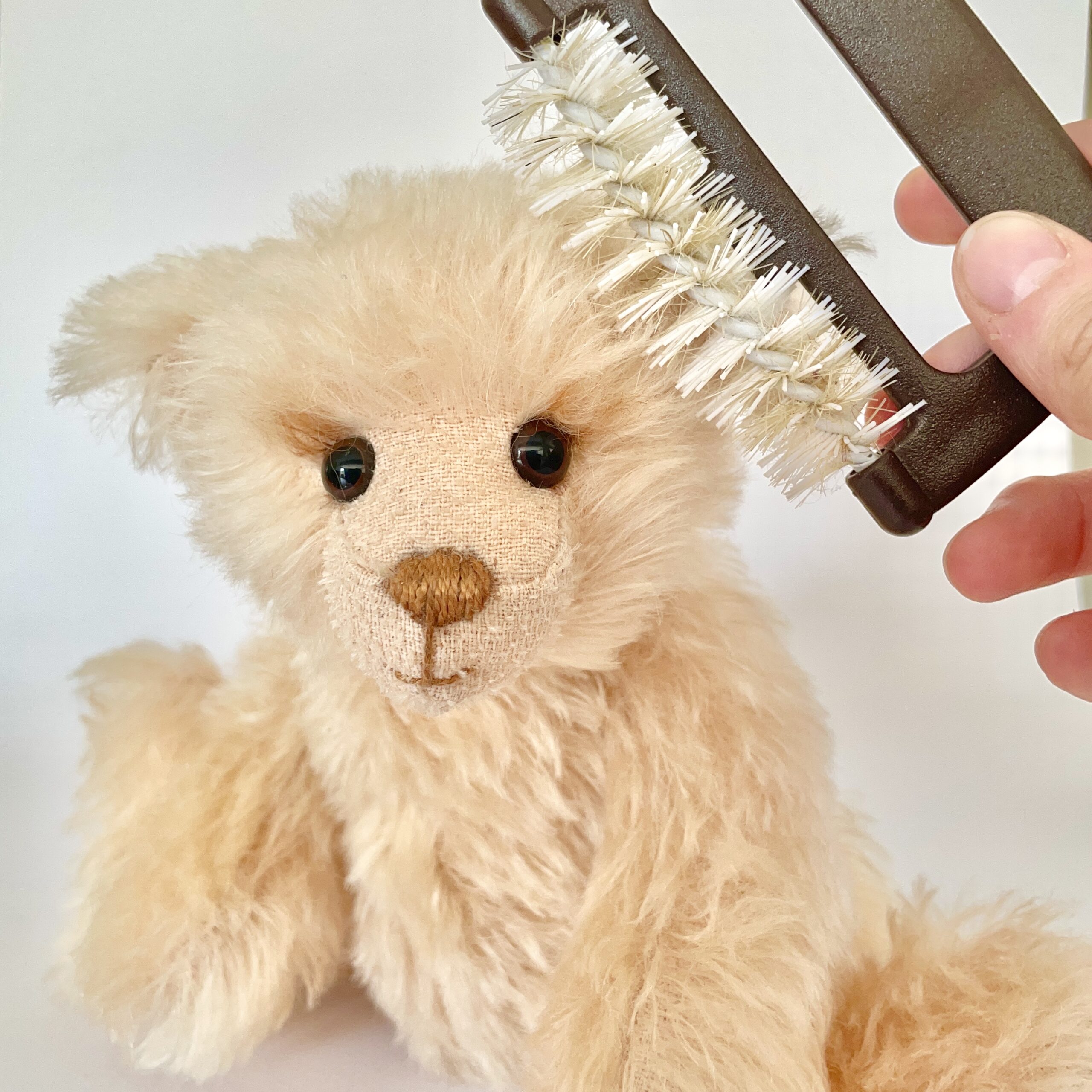 Mohair Brush for combing and brushing mohair and bear-fur fabrics