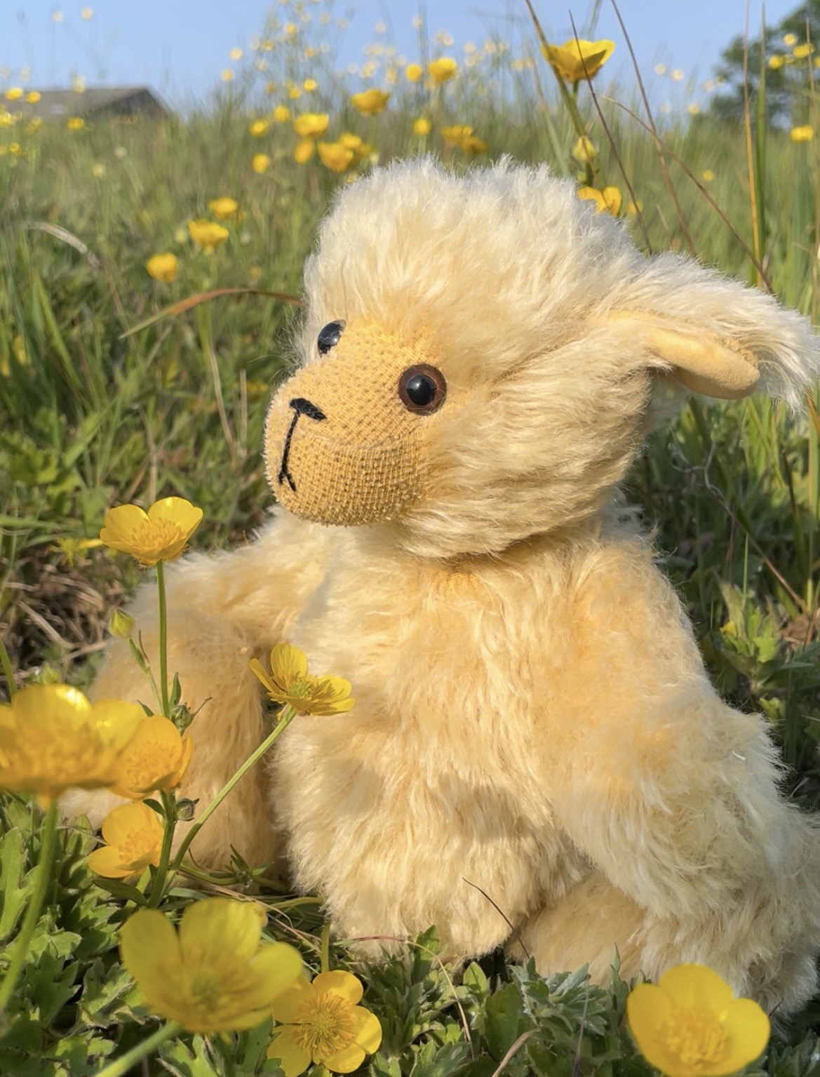 Buttercup bear kit containing all materials and pattern needed to create a cute yellow bear toy