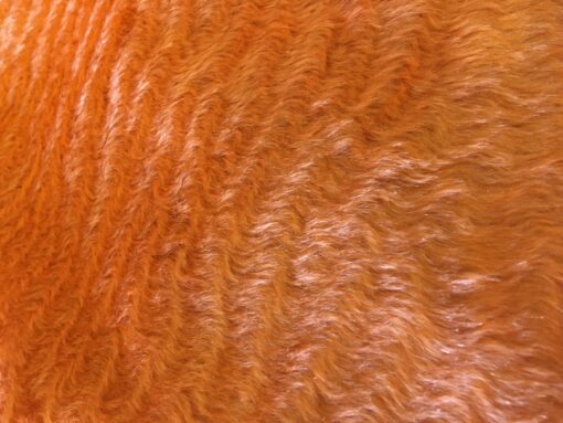 Limited Edition - Steiff Schulte Mohair Fabric - 17mm Wave - Satsuma Orange