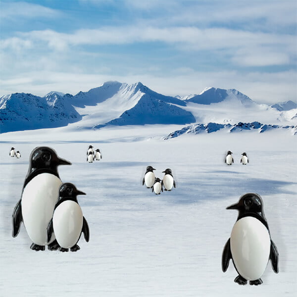 Plastic penguin Button with shank to attach onto clothing and toys,